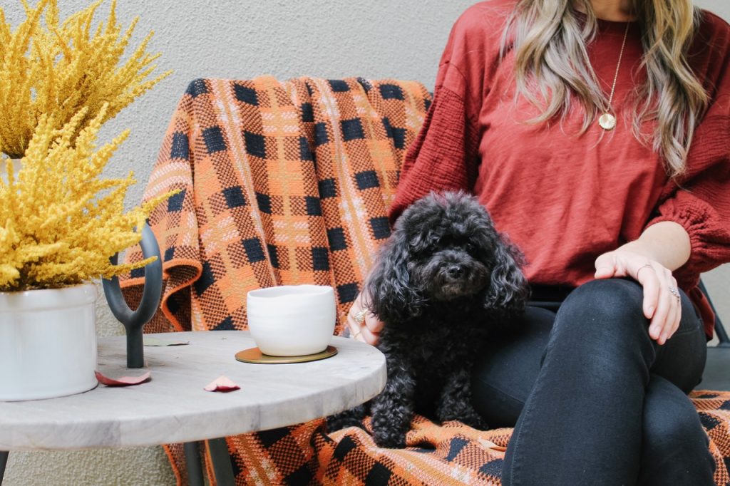 easy ways to update your home decor for fall