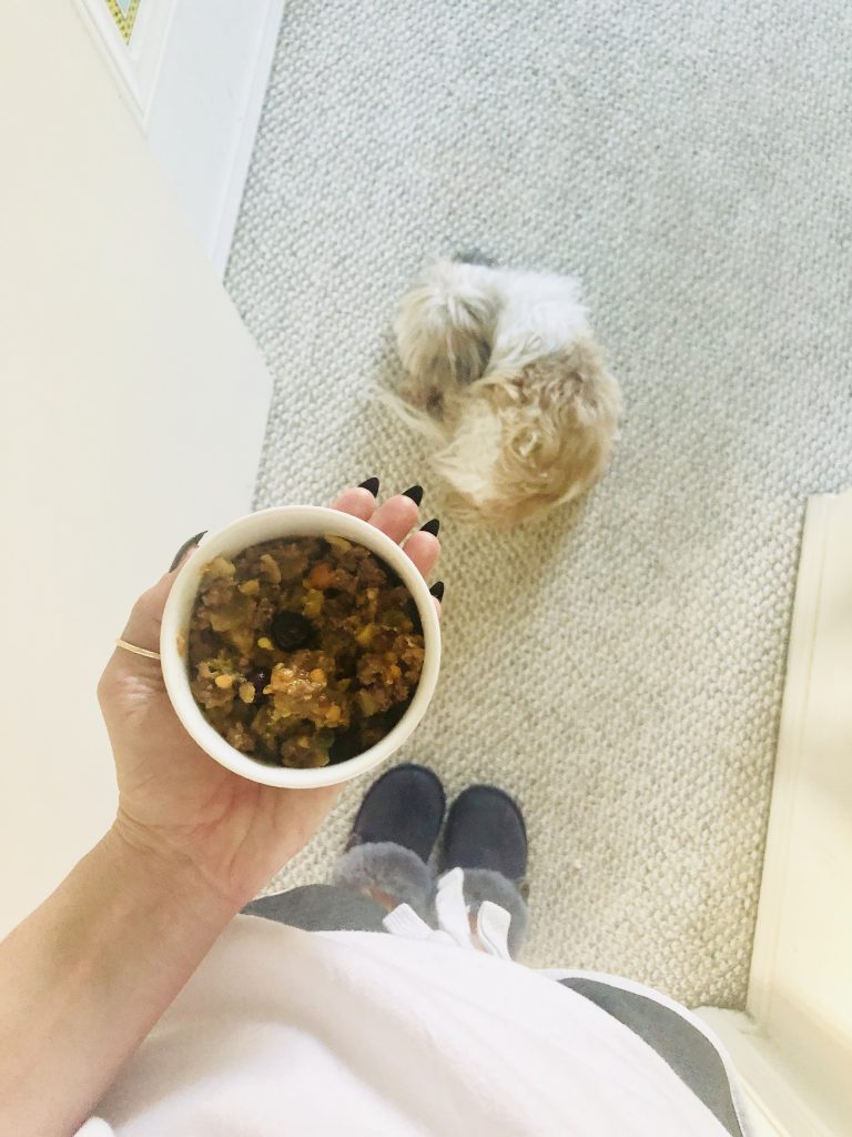 how to make holistic dog food