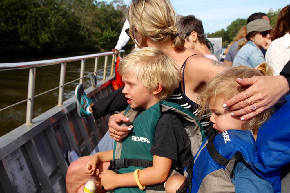New Orleans alligator swamp tour review