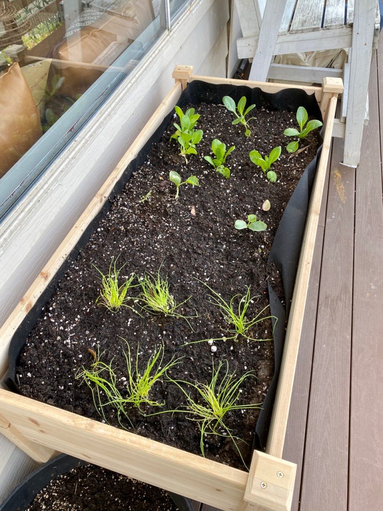 best raised planter for beginner gardeners