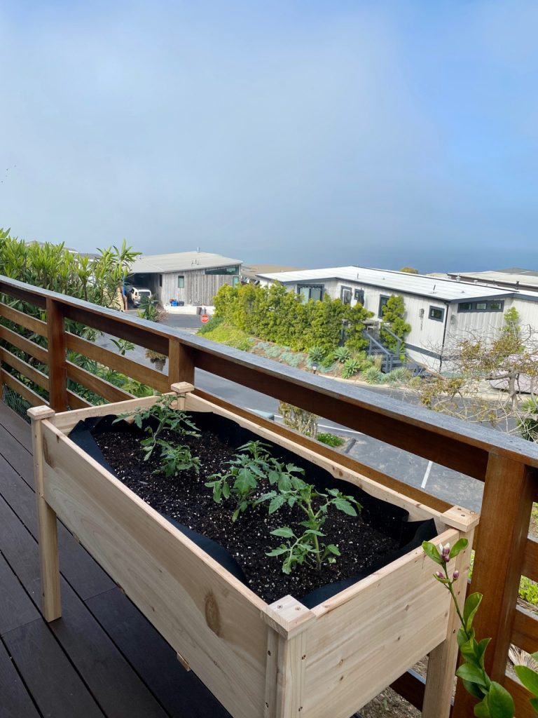 best raised planter for beginner gardeners