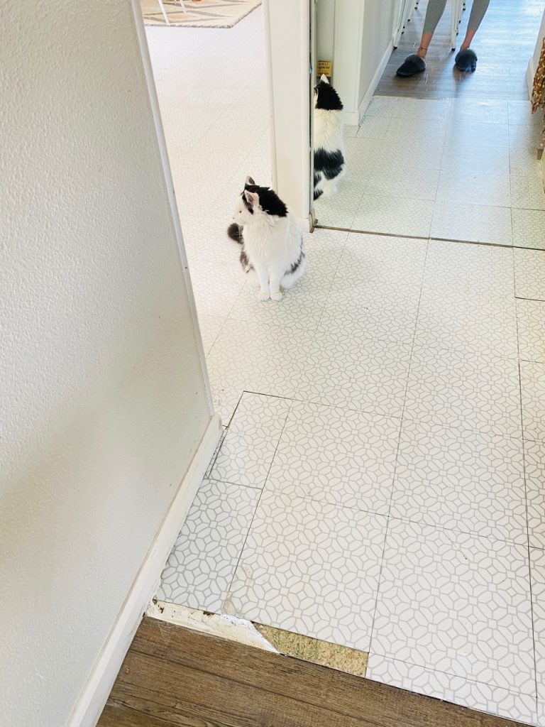 how to peel and stick tile for kitchen and bathroom