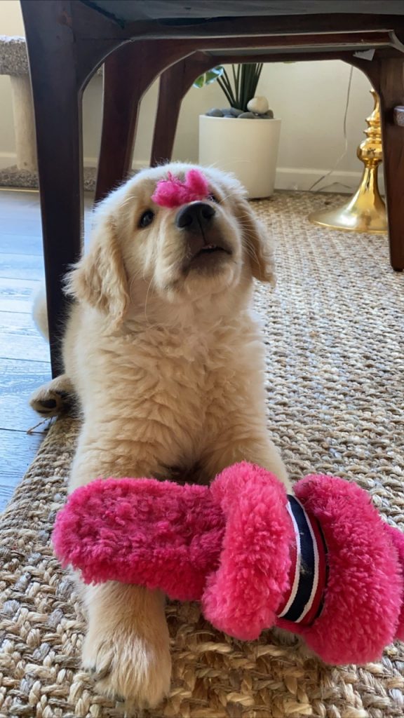 emu australia wrenlette slippers